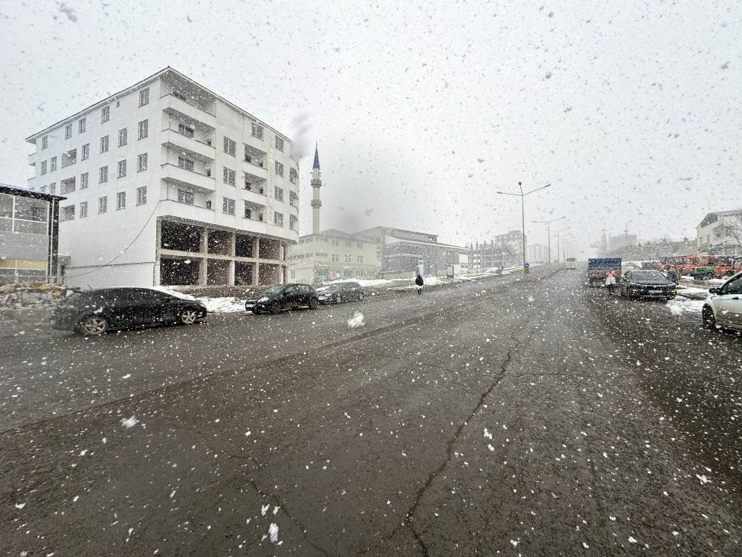 Erzurum, Ardahan ve Kars'ta kar yağışı etkili oluyor 3